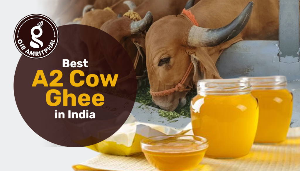 Best A2 Cow Ghee in India by giramritfal 