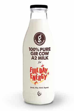 A2 cow milk